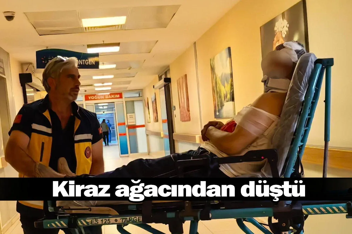 Kiraz ağacından düştü