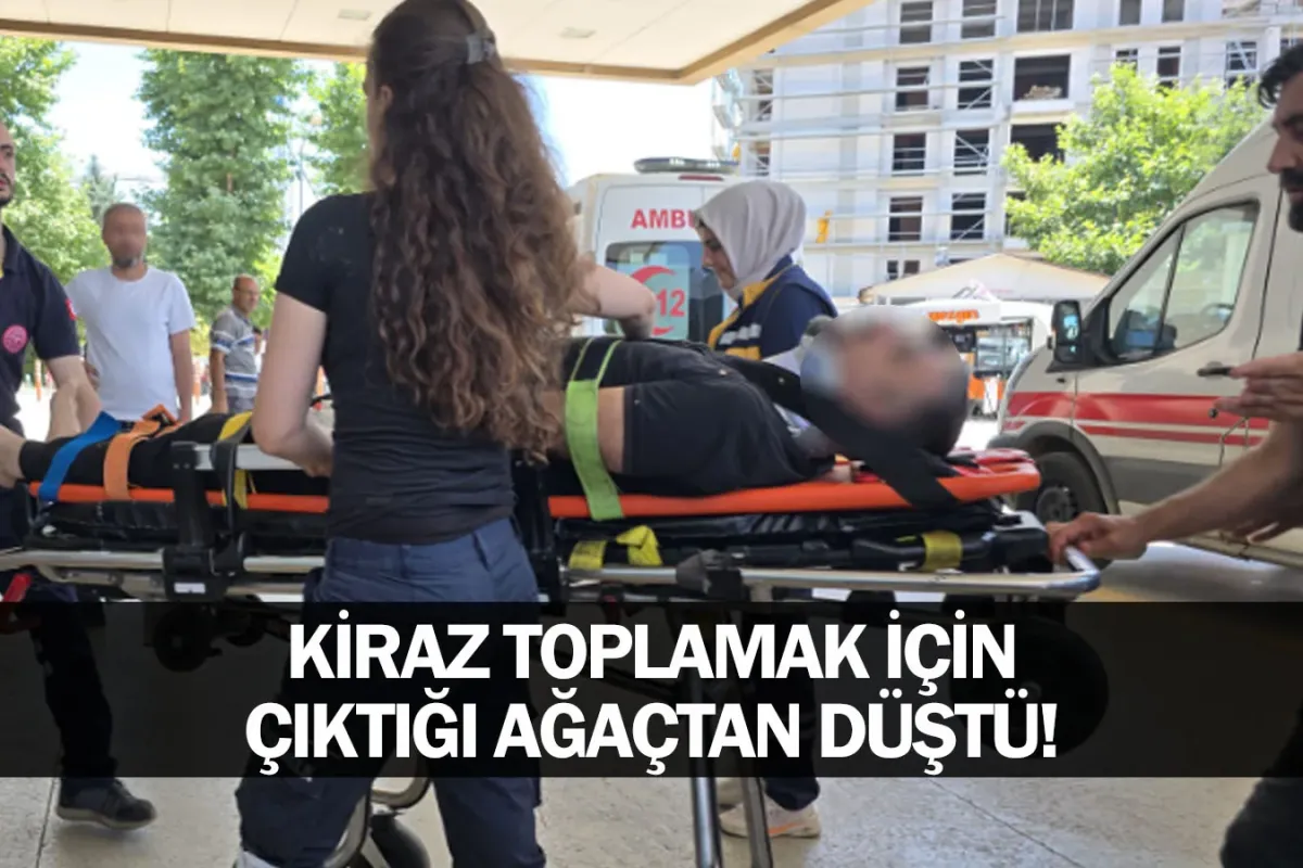 Kiraz toplamak için çıktığı ağaçtan düştü!
