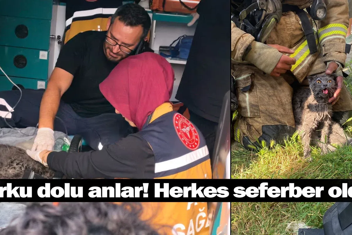 İnegöl'de korku dolu anlar! Herkes seferber oldu...