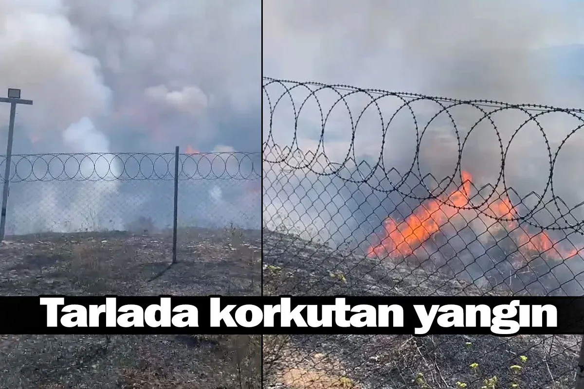 Tarlada korkutan yangın