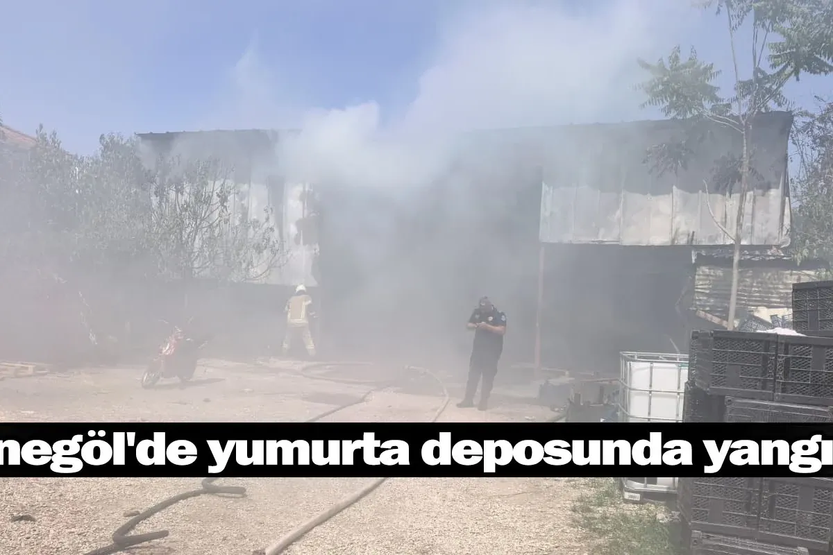 İnegöl'de yumurta deposunda yangın!