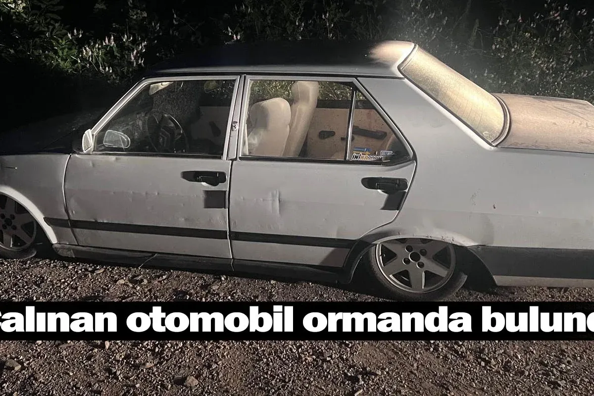 Çalınan otomobil ormanda bulundu