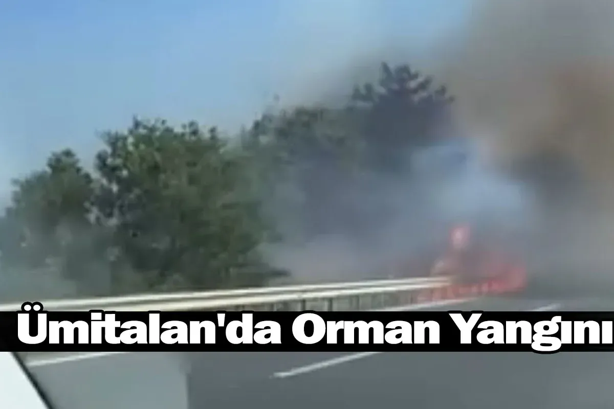 Ümitalan'da Orman Yangını