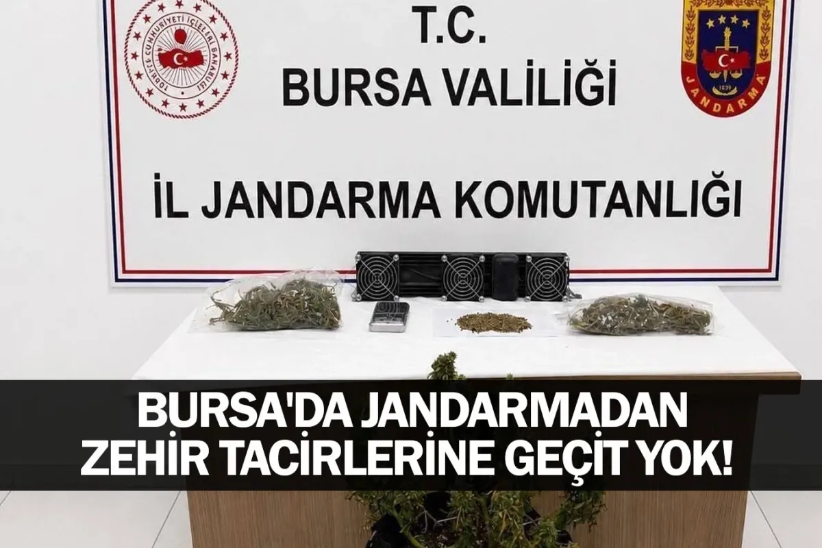 Bursa'da Jandarmadan zehir tacirlerine geçit yok!