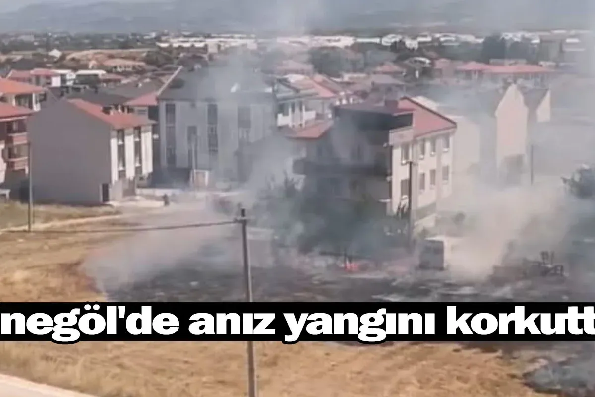 İnegöl'de anız yangını korkuttu