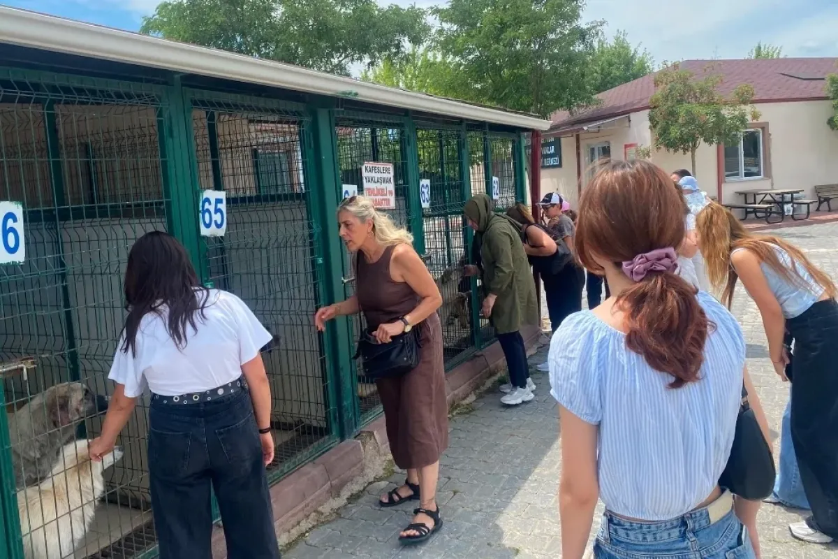 "Satın Almayın, Sahiplenin" Çağrısı