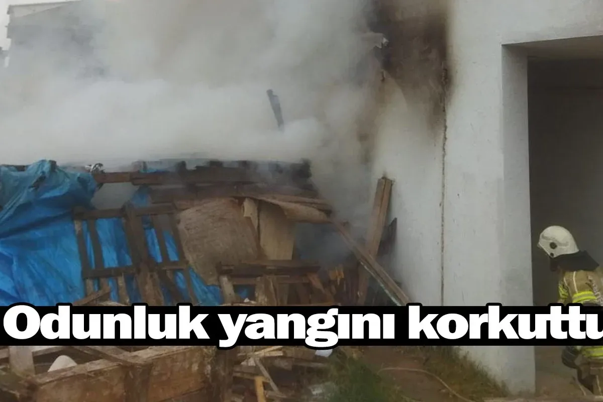 İnegöl'de odunluk yangını korkuttu