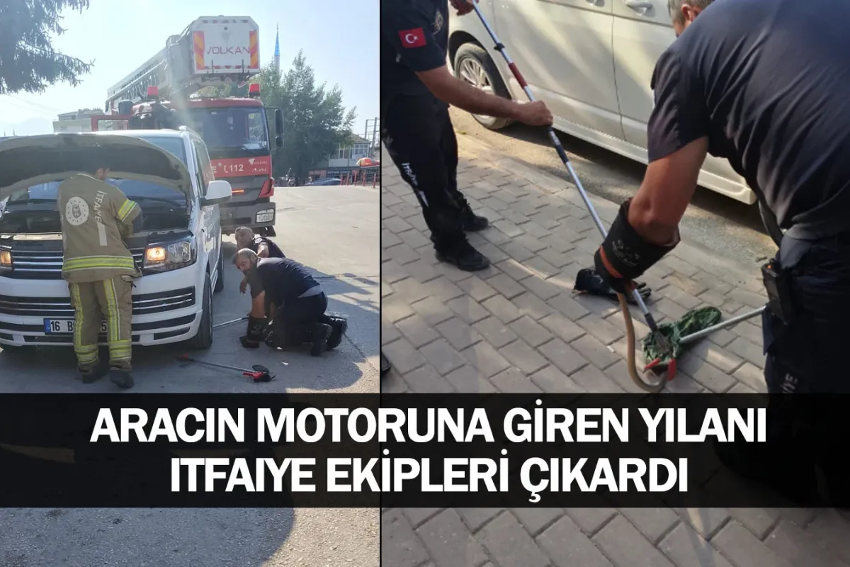 Aracın motoruna giren yılanı itfaiye ekipleri çıkardı