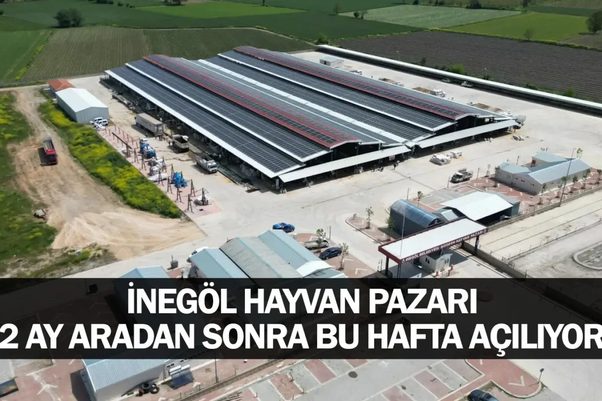 İnegöl hayvan pazarı 2 ay aradan sonra bu hafta açılıyor