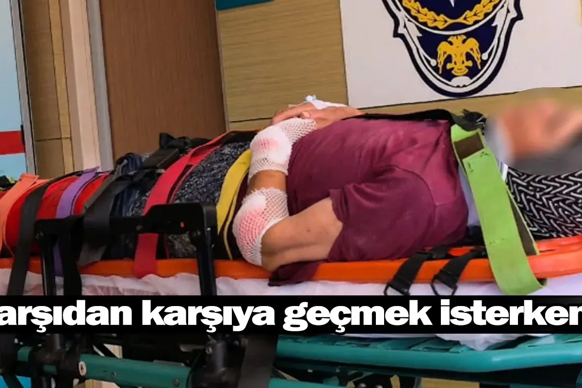 Karşıdan karşıya geçmek isterken ...