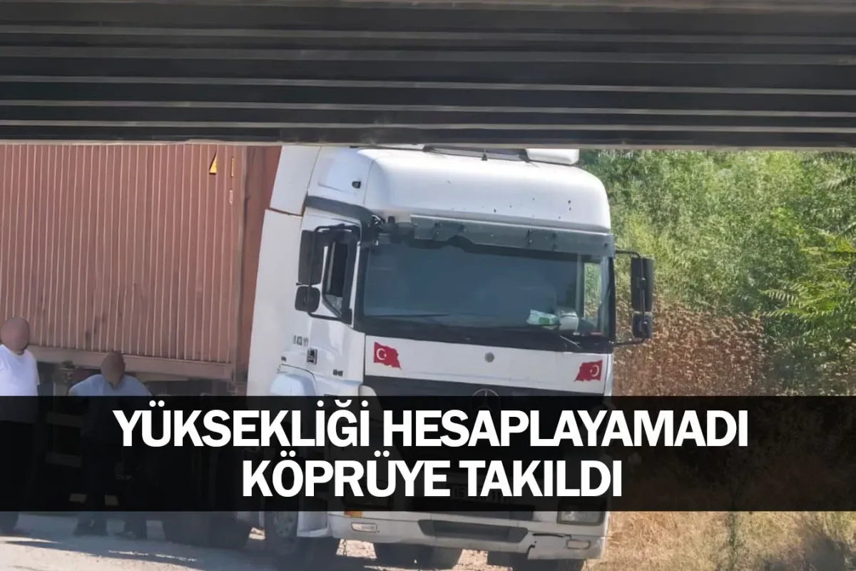 Yüksekliği hesaplayamadı, köprüye takıldı