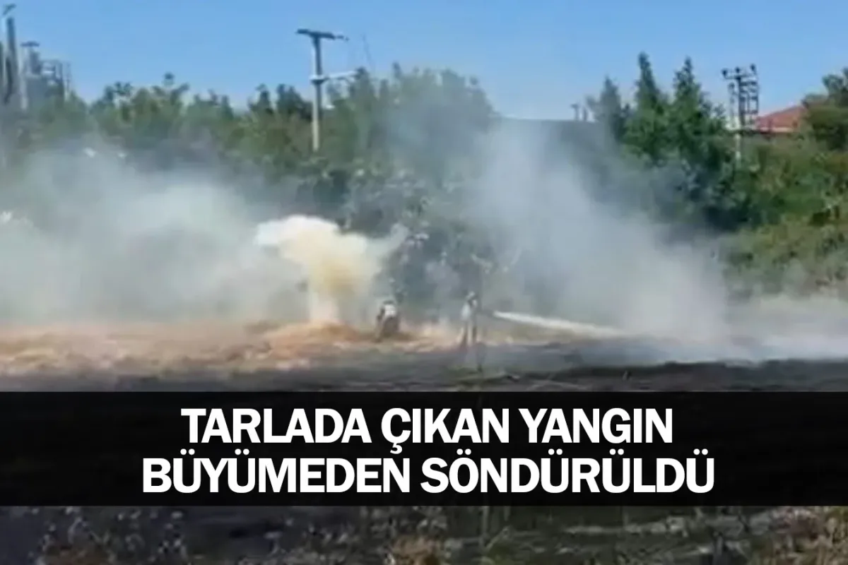 Tarlada çıkan yangın büyümeden söndürüldü