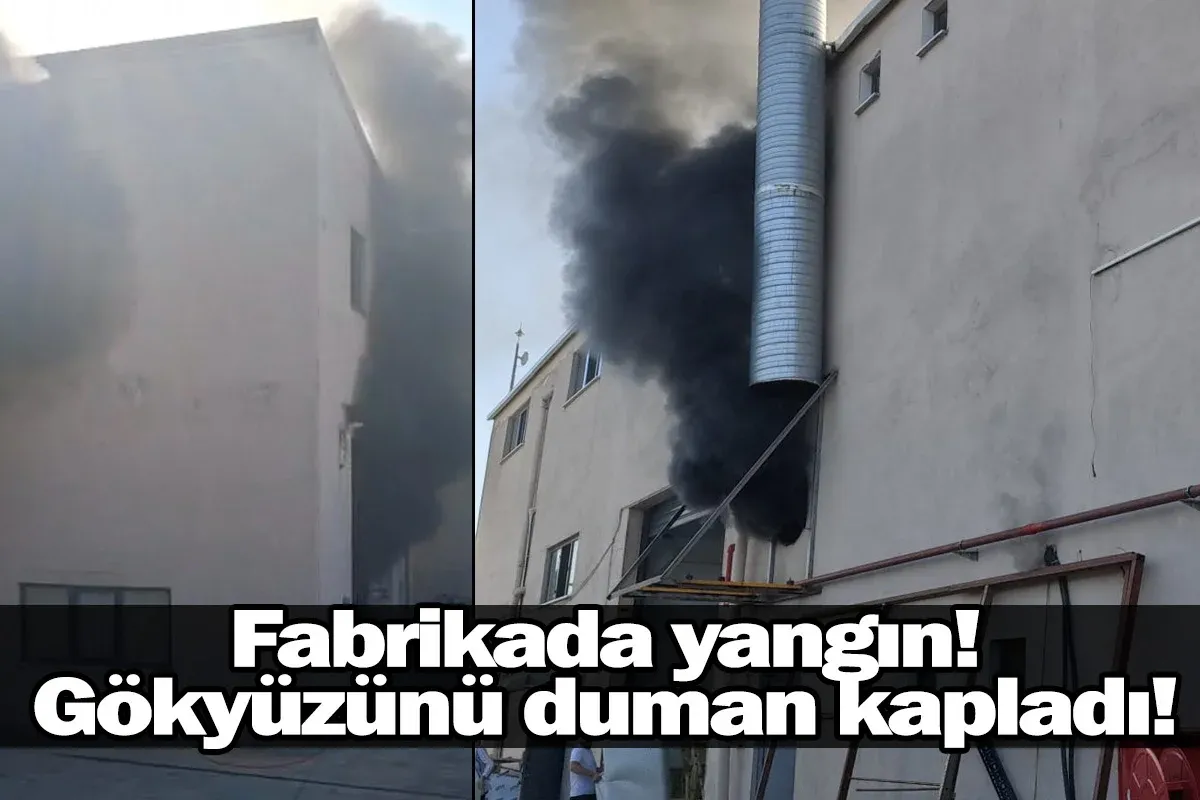 Fabrikada yangın! Gökyüzünü duman kapladı!