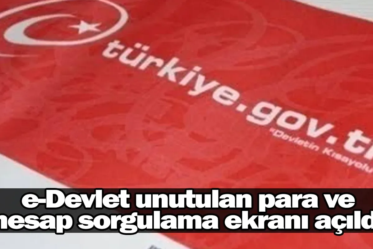 e-Devlet unutulan para ve hesap sorgulama ekranı açıldı