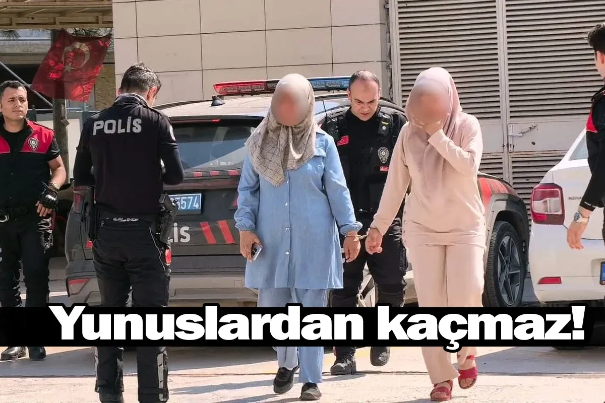 Yunuslardan kaçmaz!