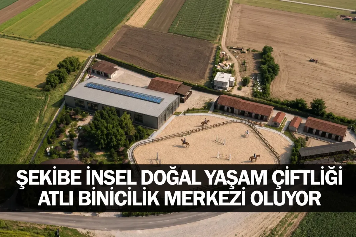 Şekibe İnsel Doğal Yaşam Çiftliği Atlı Binicilik Merkezi Oluyor