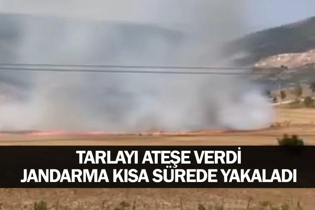 Tarlayı ateşe verdi, jandarma kısa sürede yakaladı