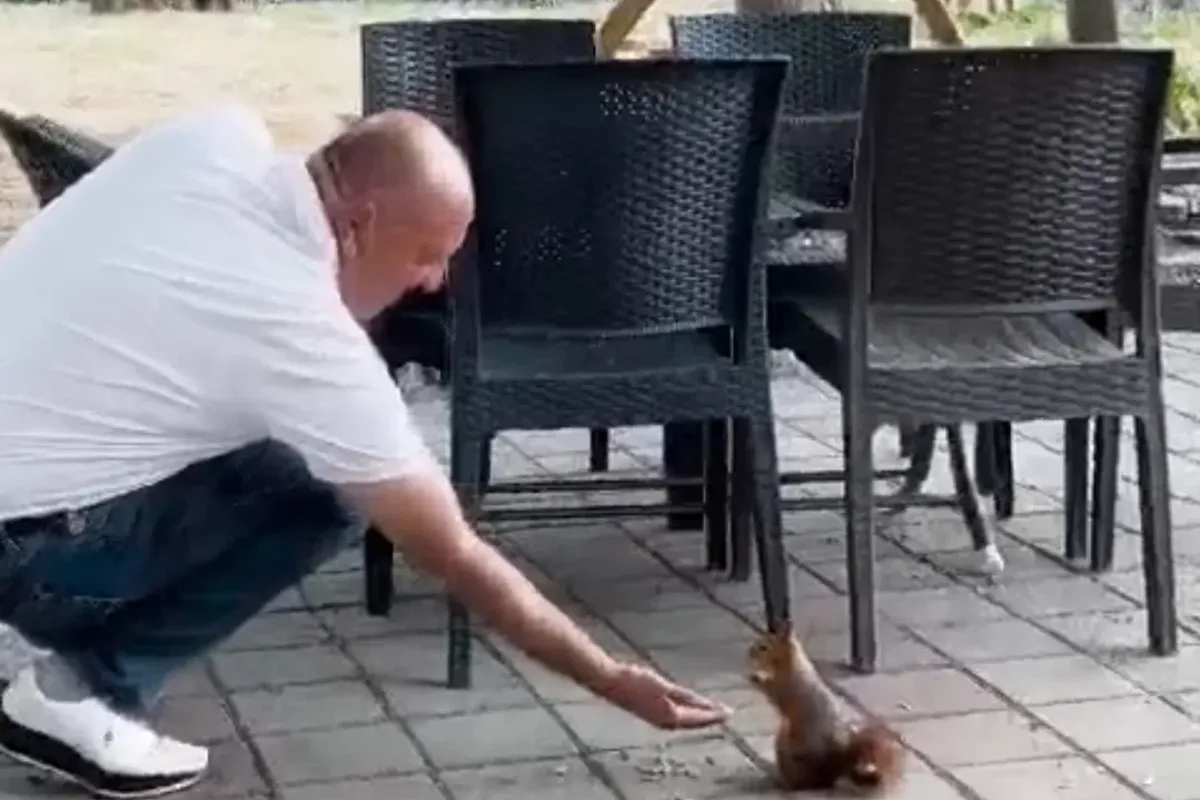 Yanına gelen sincabı elleriyle besledi