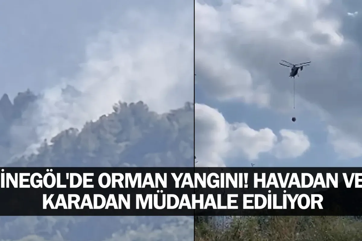 İnegöl'de orman yangını! Havadan ve karadan müdahale ediliyor