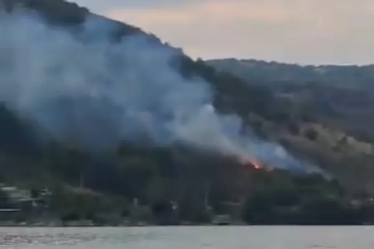 İnegöl'de otluk alanda yangın!