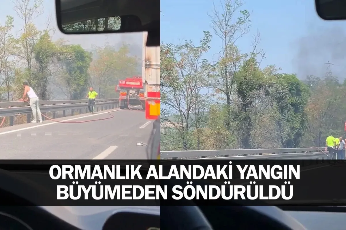 Ormanlık alandaki yangın büyümeden söndürüldü