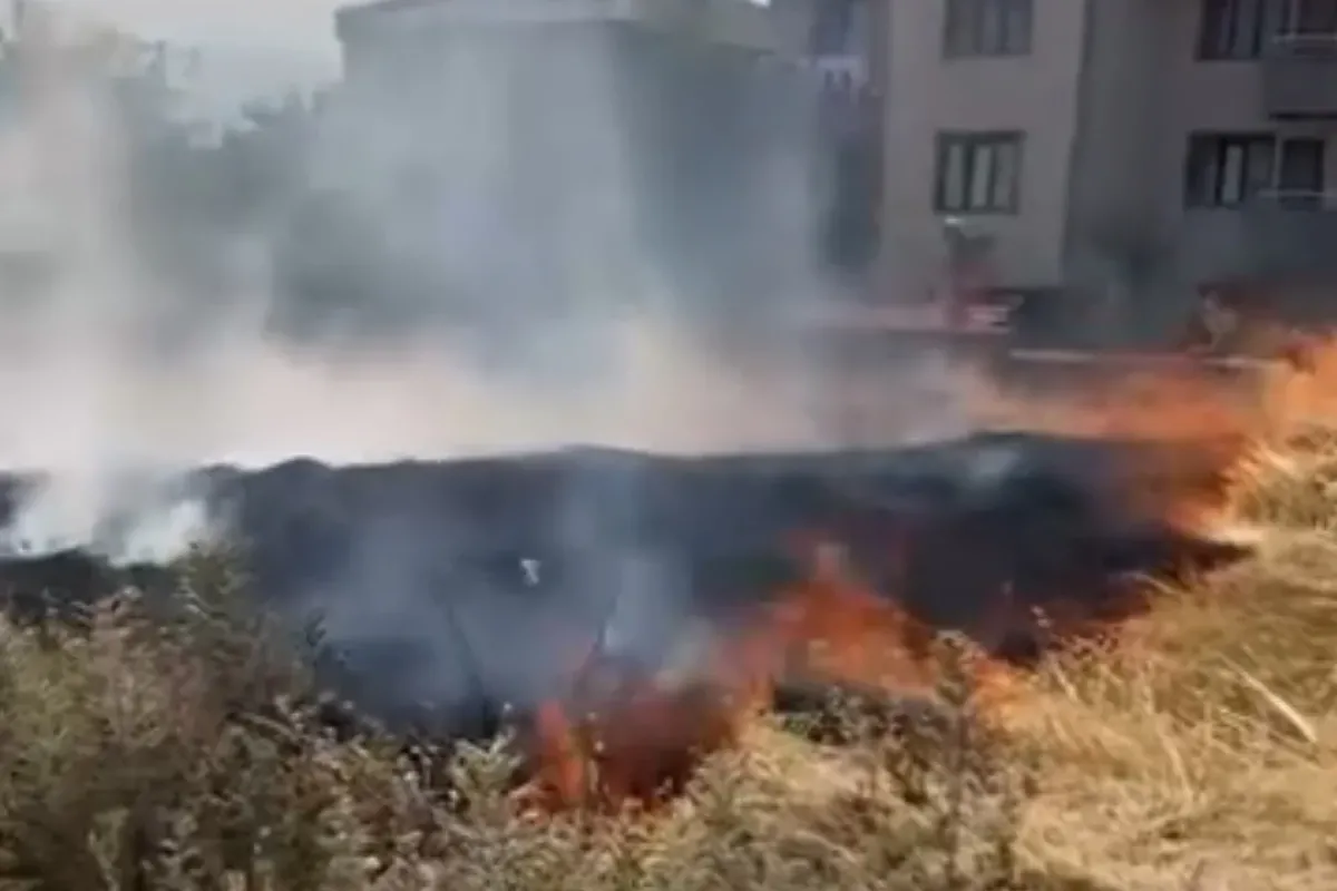 Anız yangını korkuttu!
