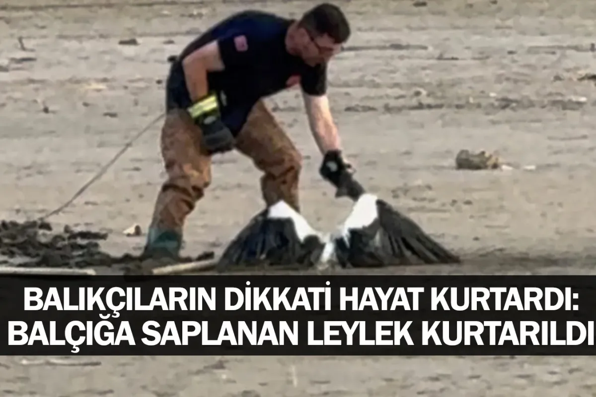 Balıkçıların Dikkati Hayat Kurtardı: Balçığa Saplanan Leylek Kurtarıldı