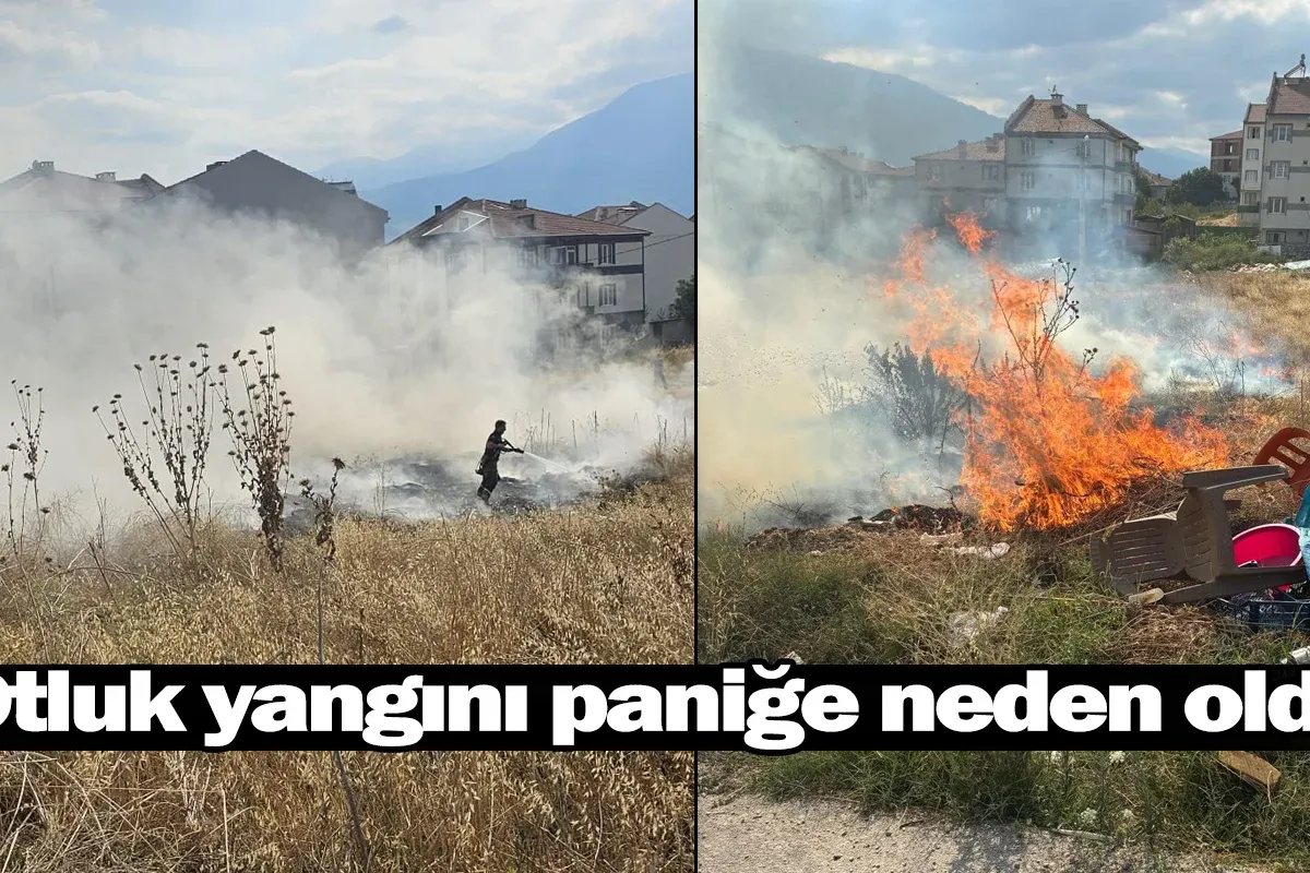 Otluk yangını paniğe neden oldu!