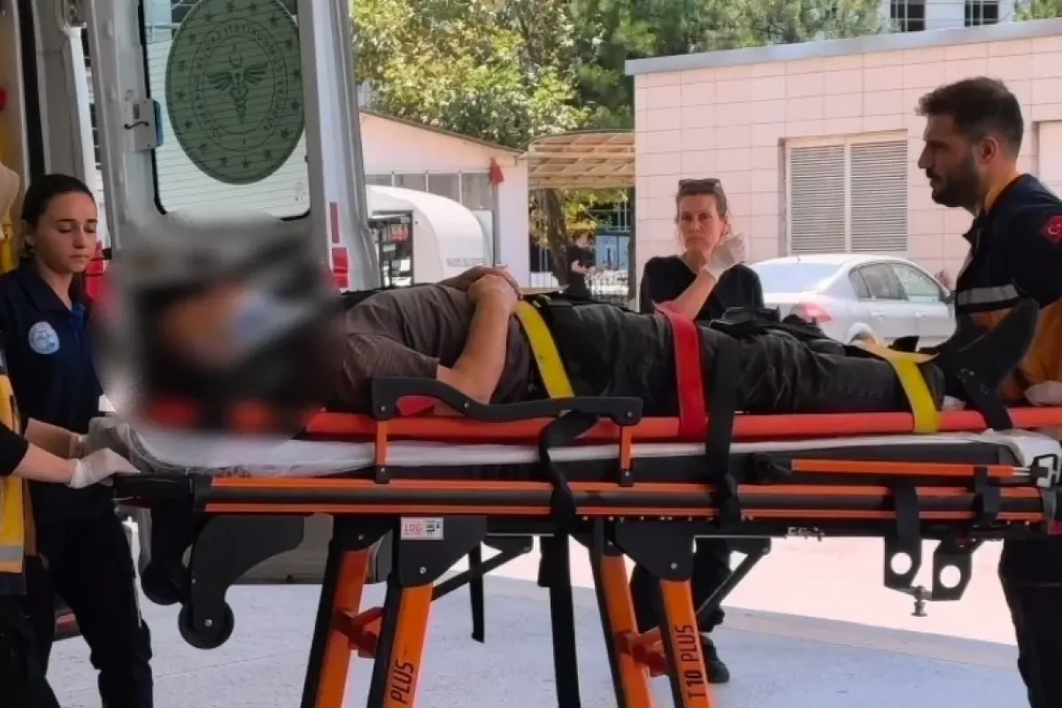 Üzüm toplamak isterken hastanelik oldu!