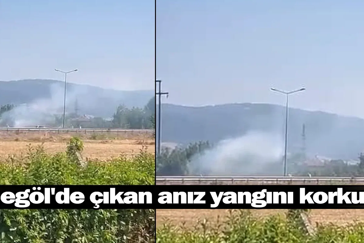 İnegöl'de çıkan anız yangını korkuttu