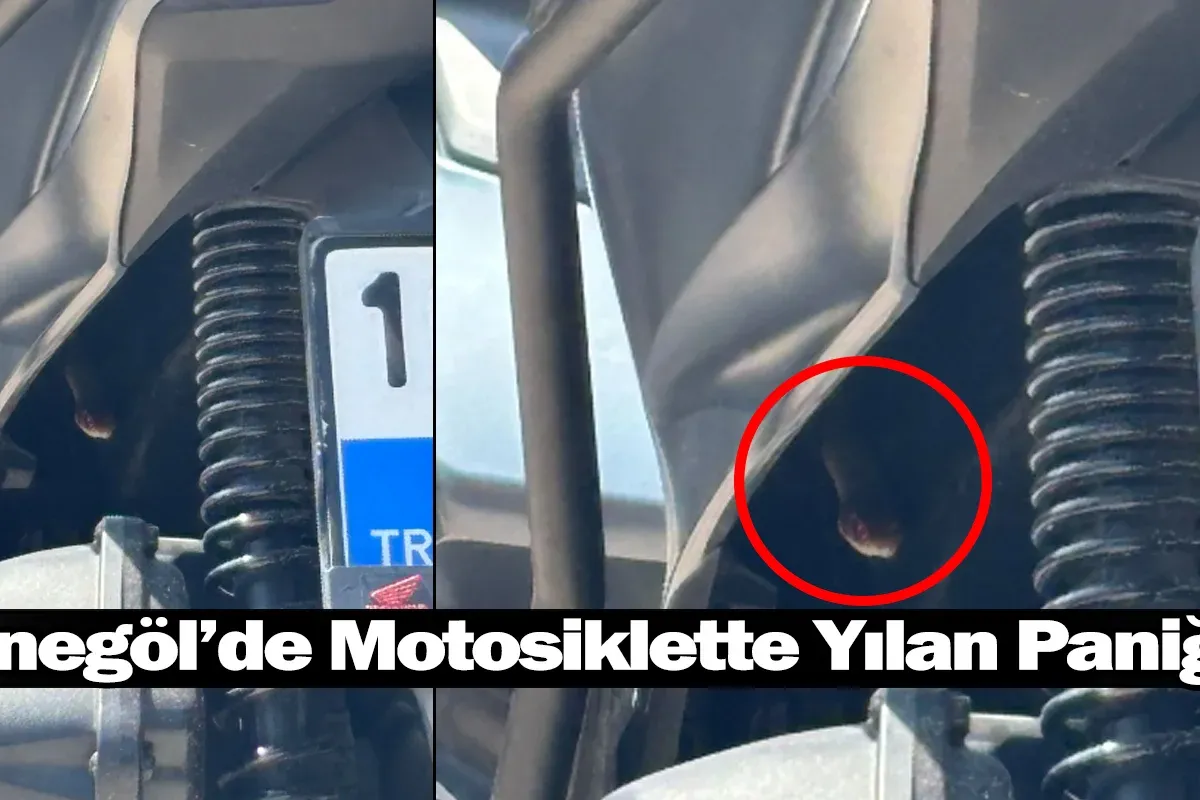 İnegöl’de Motosiklette Yılan Paniği!