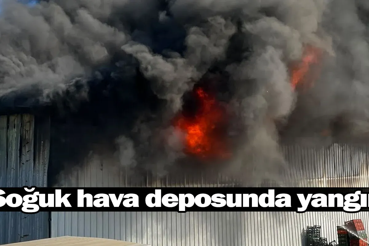 Bursa'da soğuk hava deposunda yangın