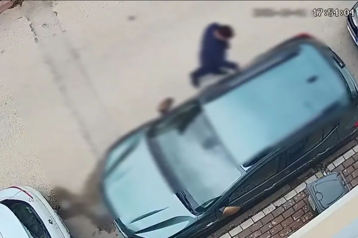 Yoldan Geçerken Çizip Gitti!