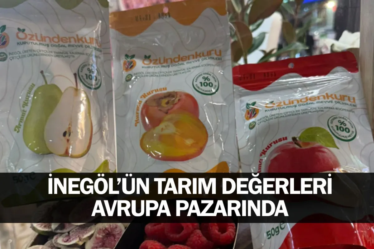 İnegöl’ün Tarım Değerleri Avrupa Pazarında