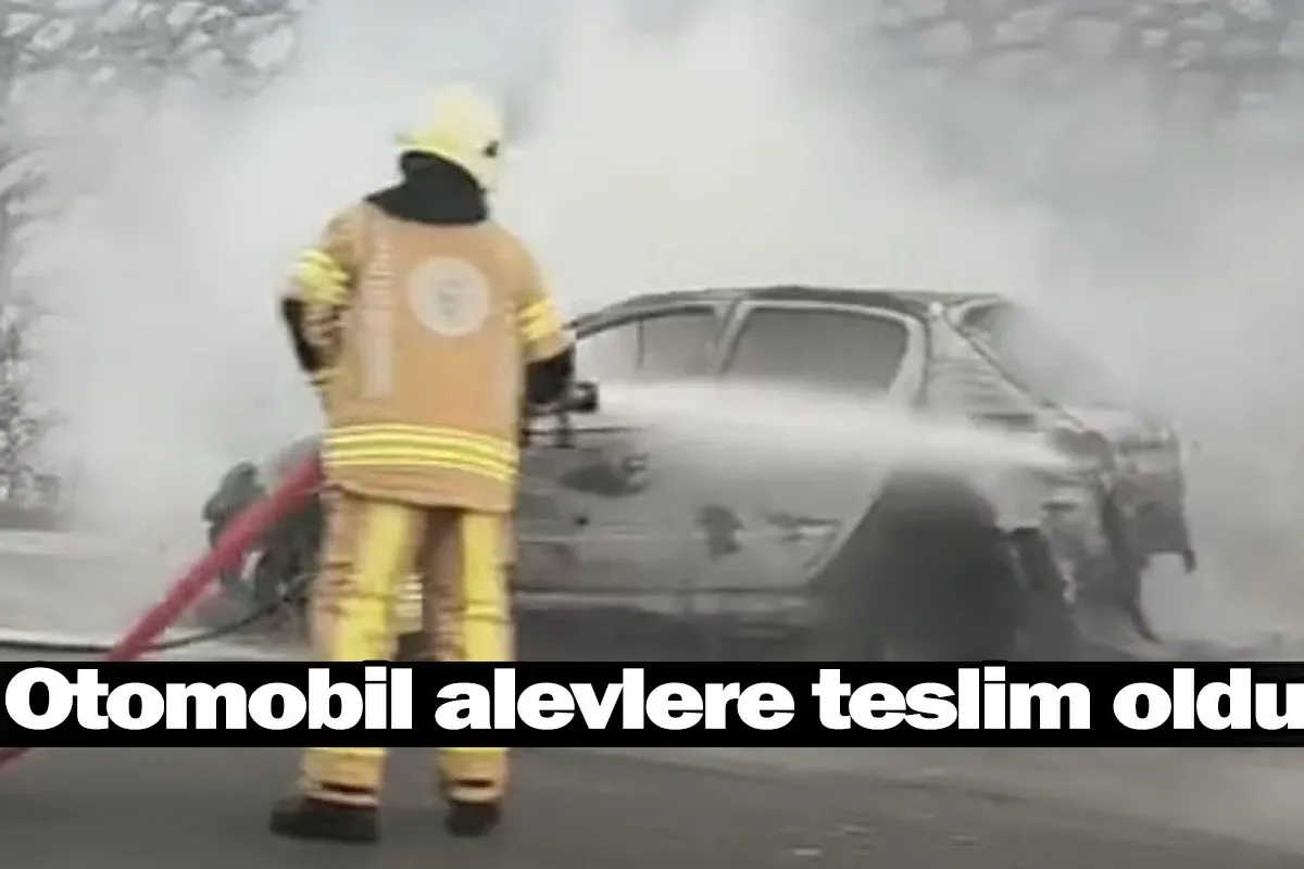 Otomobil alevlere teslim oldu
