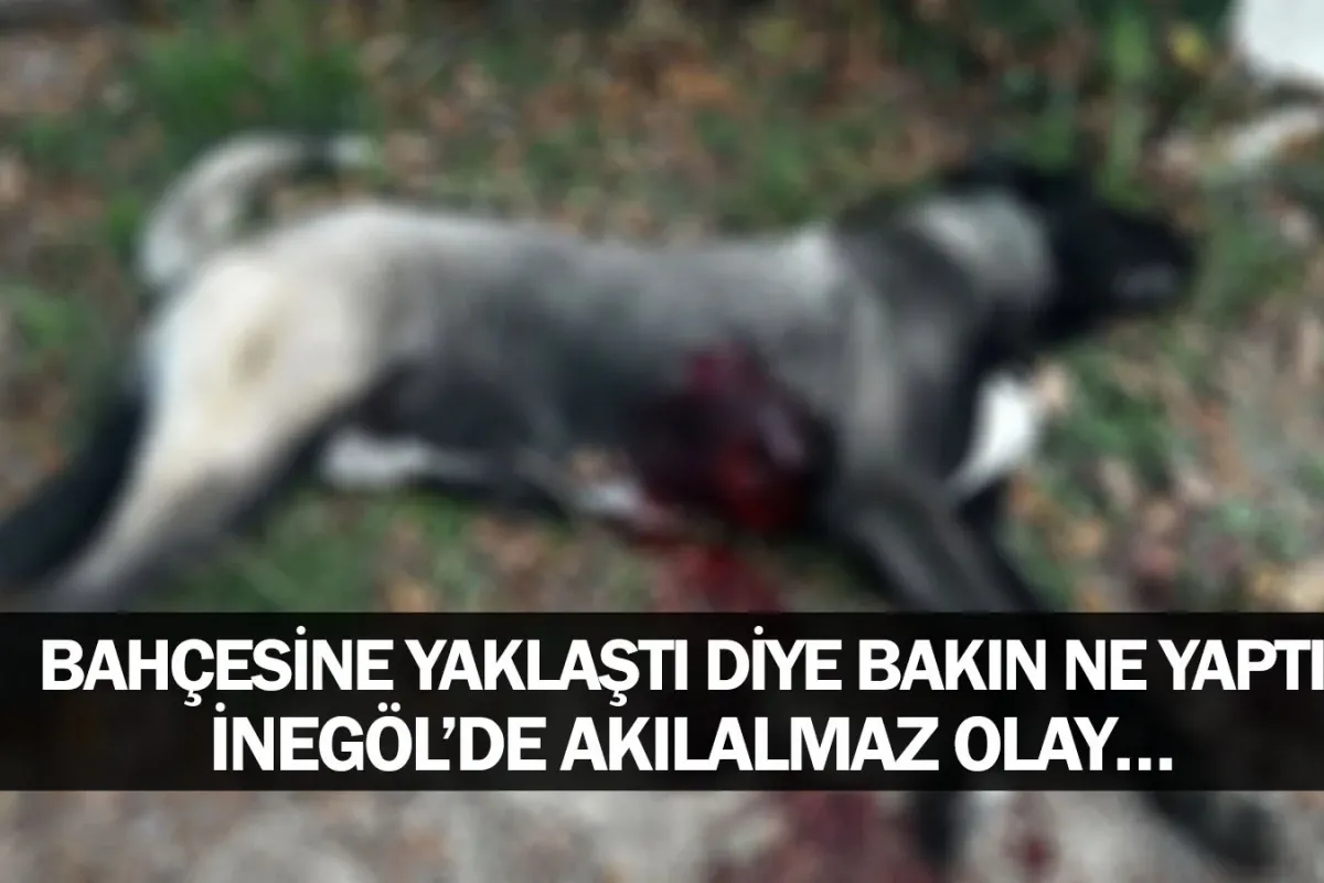 Bahçesine yaklaştı diye bakın ne yaptı! İnegöl’de akılalmaz olay…