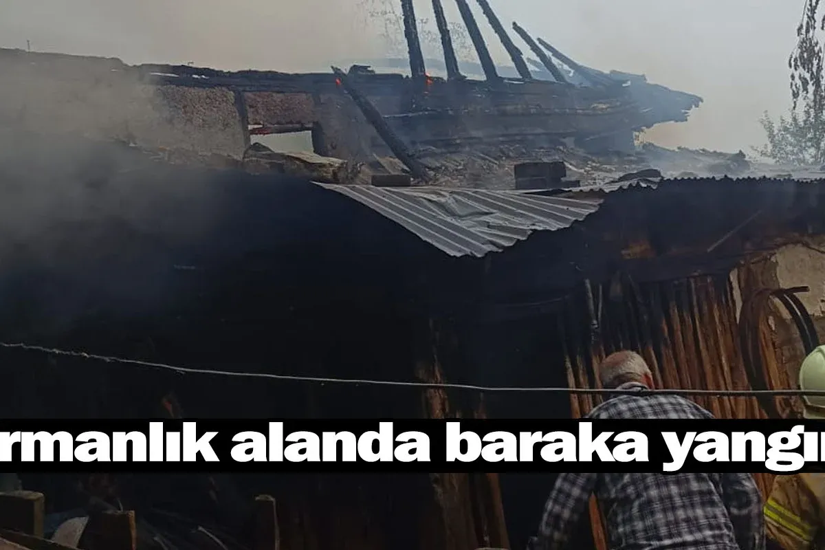 Ormanlık alanda baraka yangını!