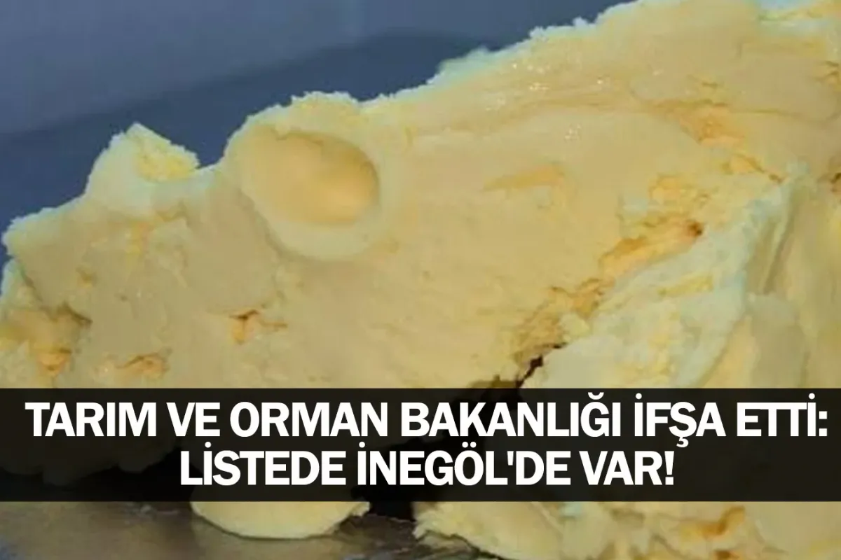 Tarım ve Orman Bakanlığı ifşa etti: Listede İnegöl'de var!