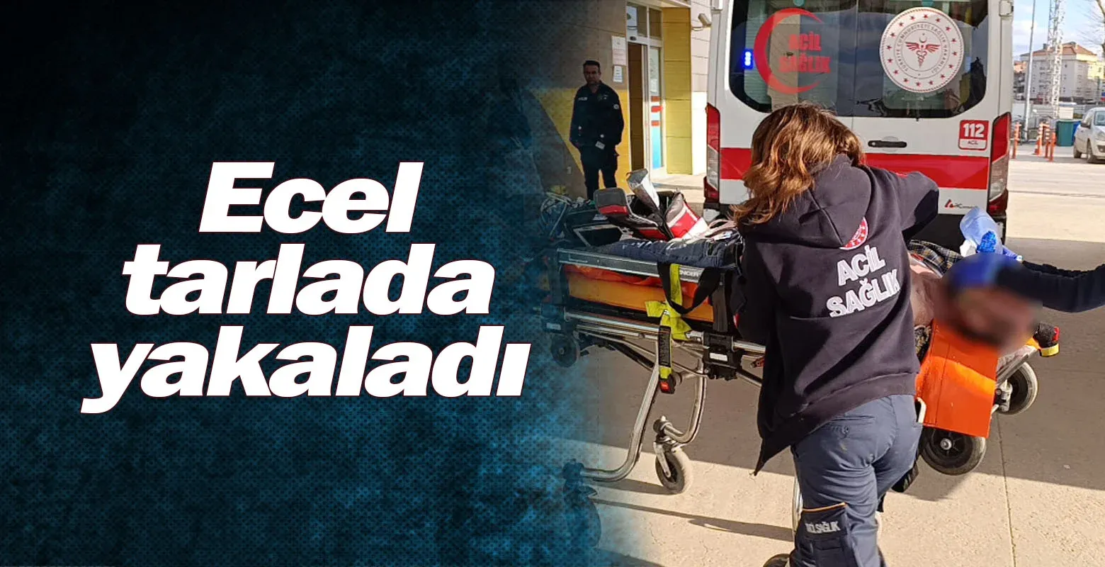 Ecel tarlada yakaladı