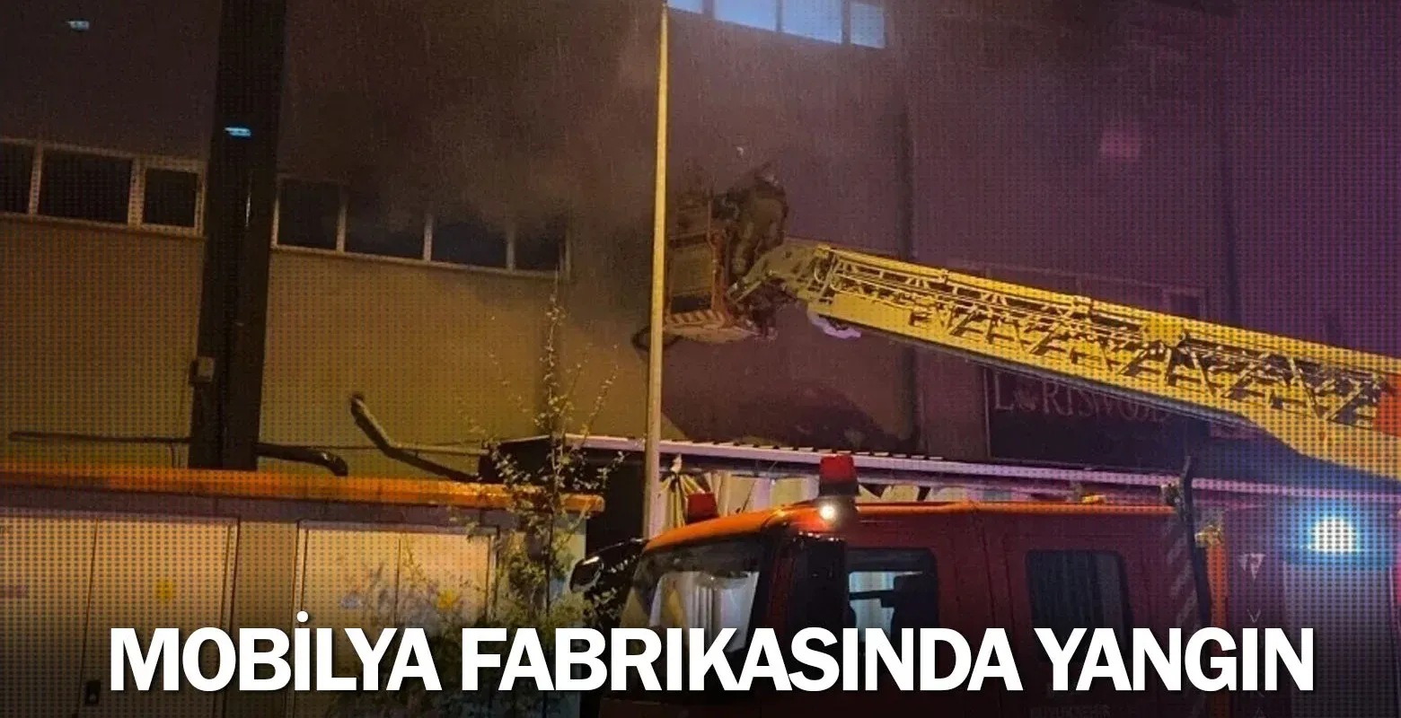 Mobilya fabrikasında yangın