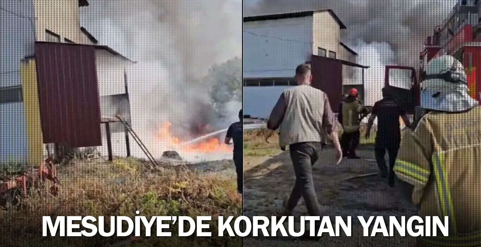 Mesudiye'de korkutan yangın