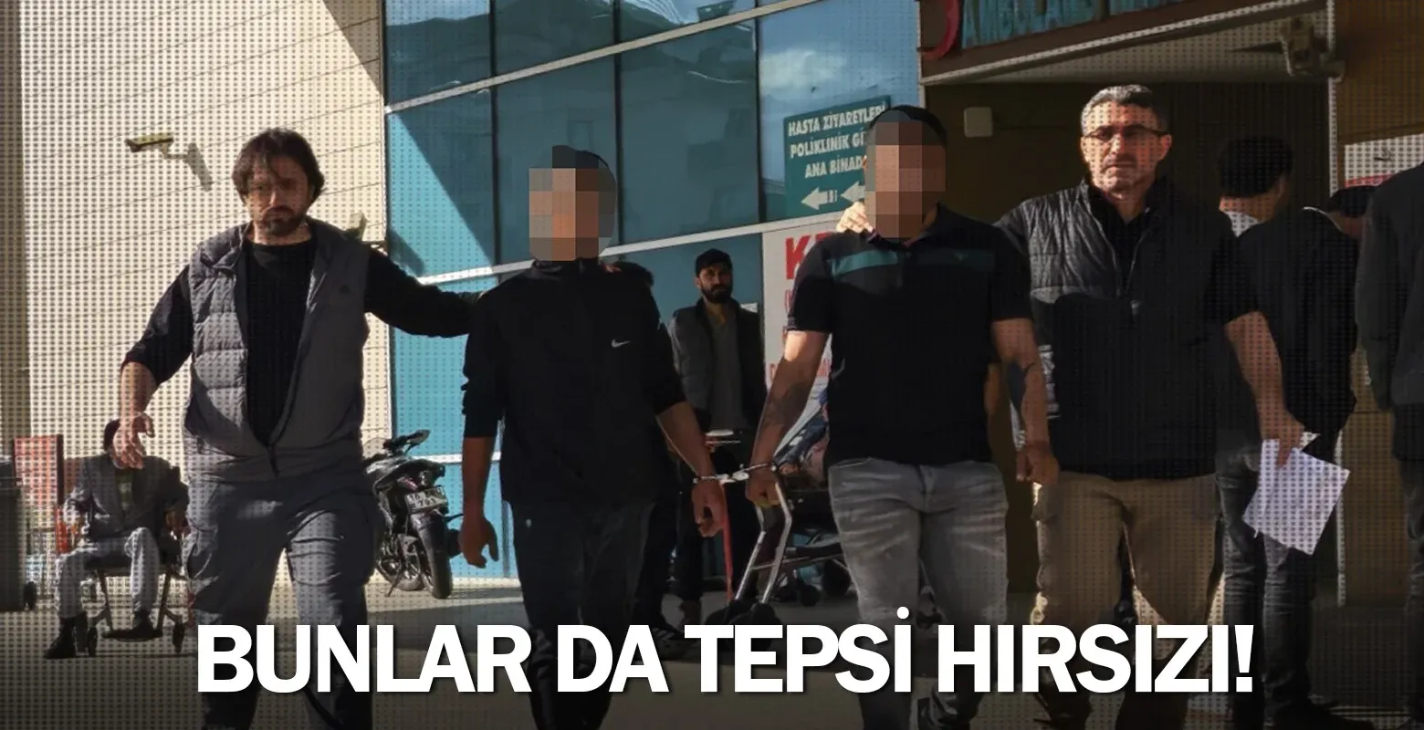 Bunlar da tepsi hırsızı!