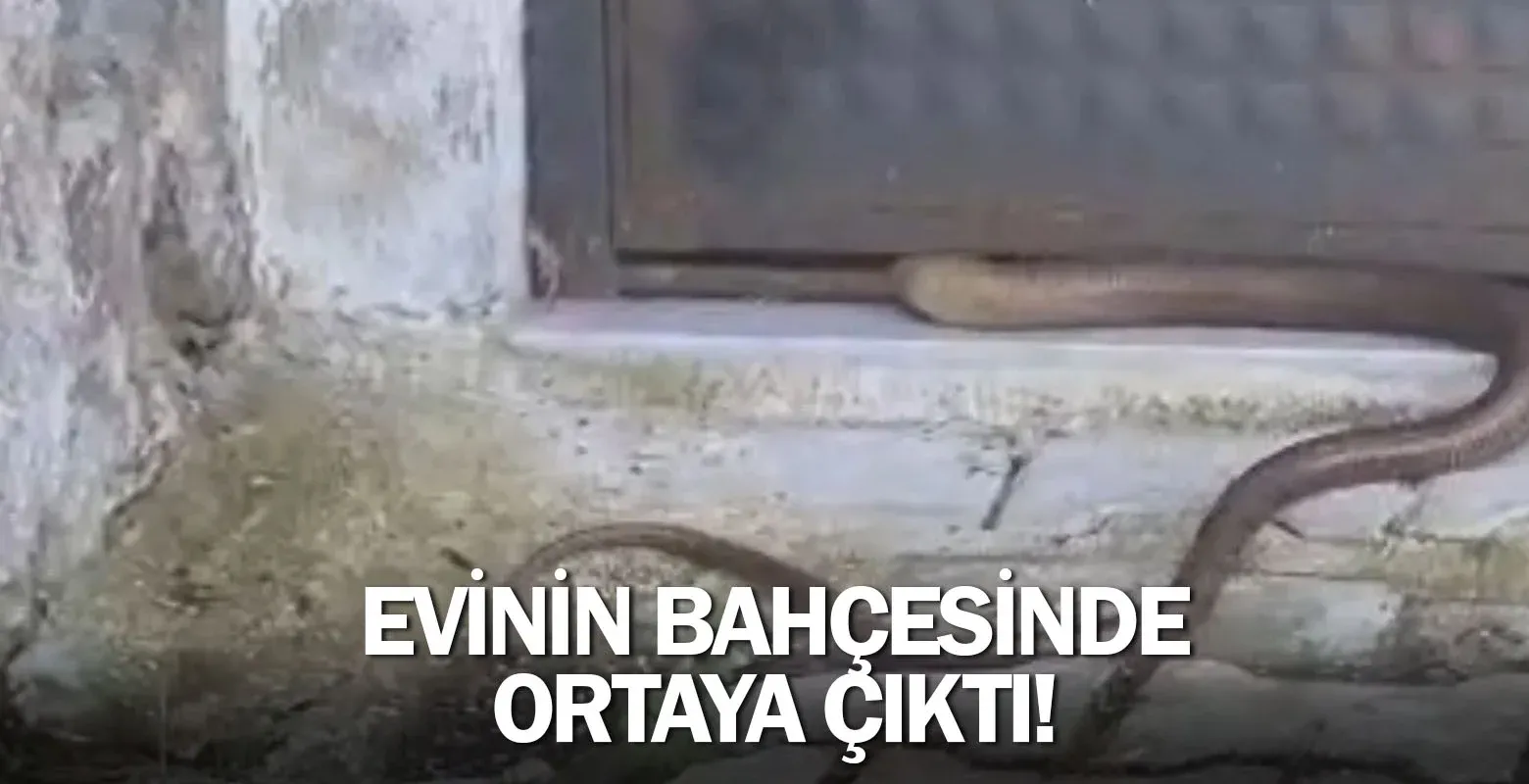 İnegöl'de evinin bahçesinde ortaya çıktı!