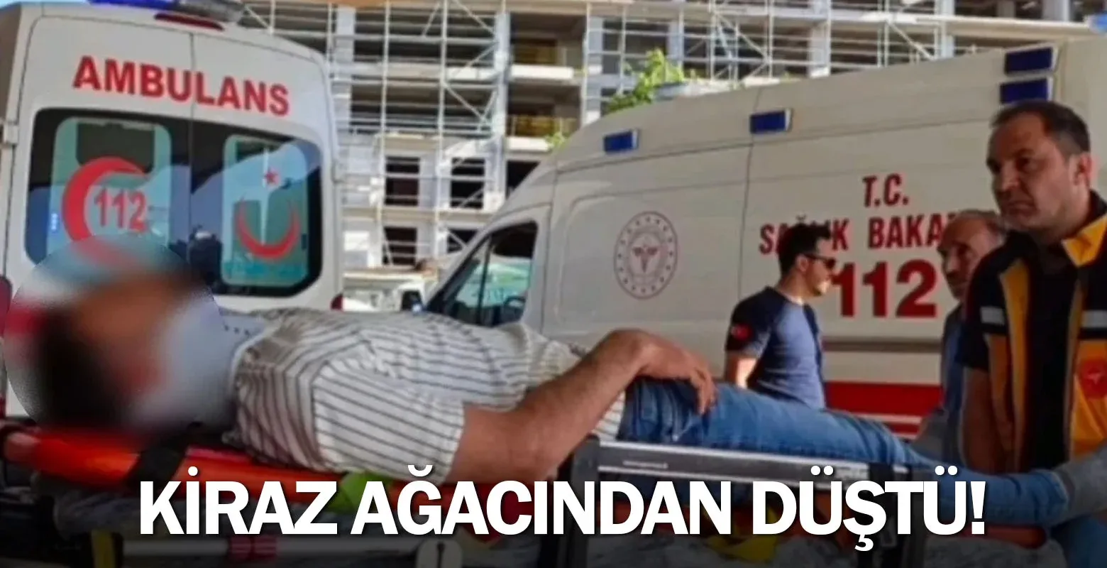 Kiraz ağacından düştü!