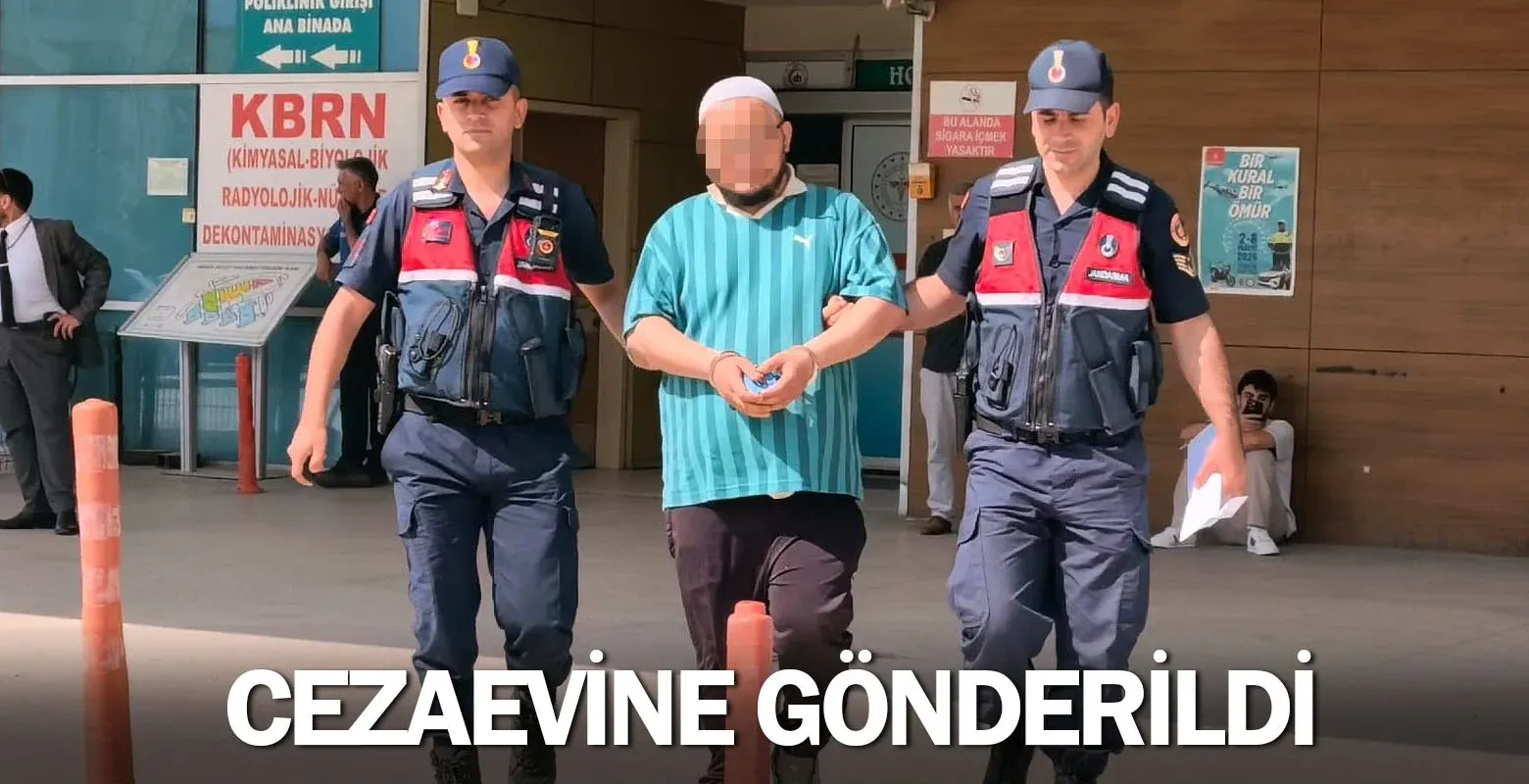 Cezaevine gönderildi