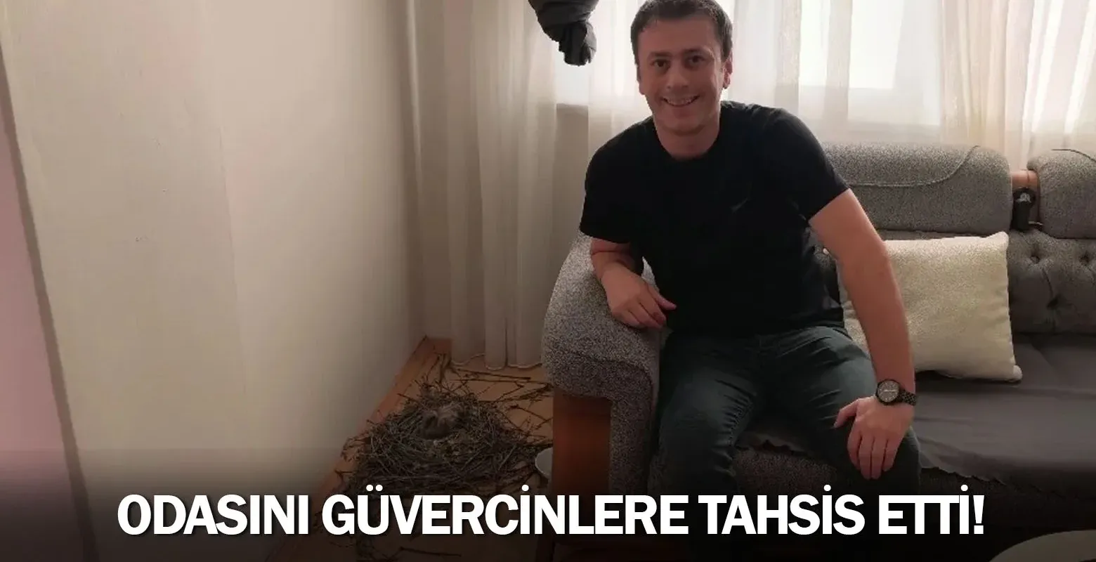 Odasını güvercinlere tahsis etti!