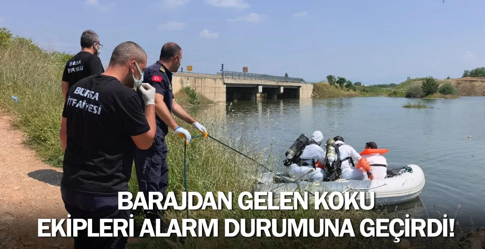​Barajdan Gelen Koku Ekipleri Alarm Durumuna Geçirdi!