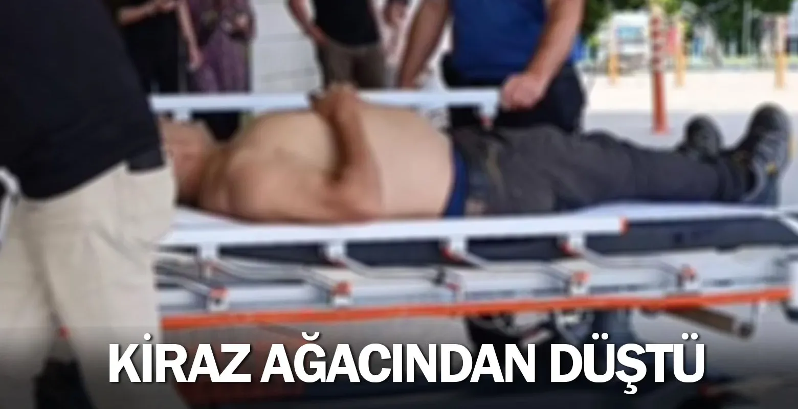 Kiraz ağacından düştü
