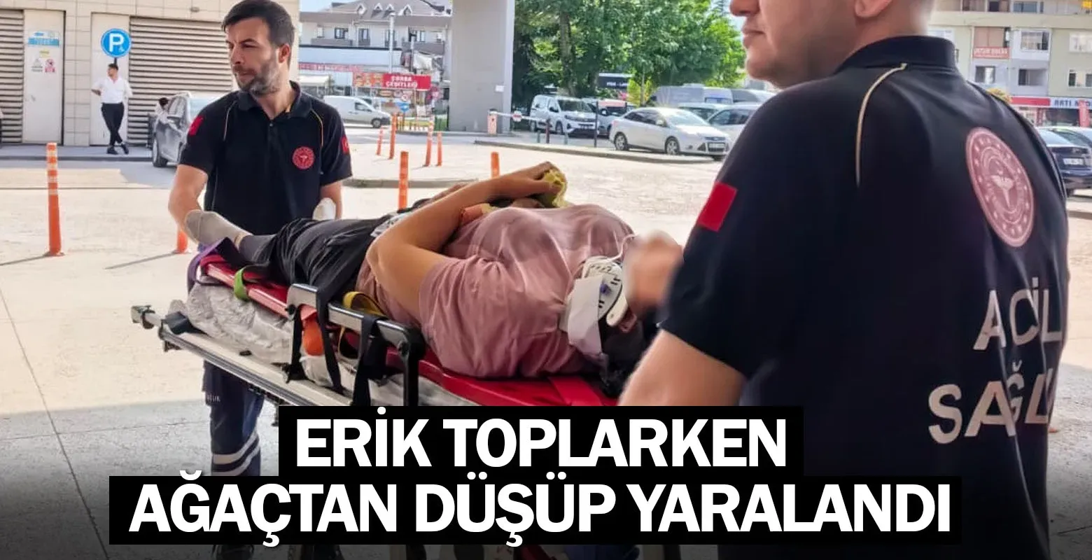 Erik toplarken ağaçtan düşüp yaralandı