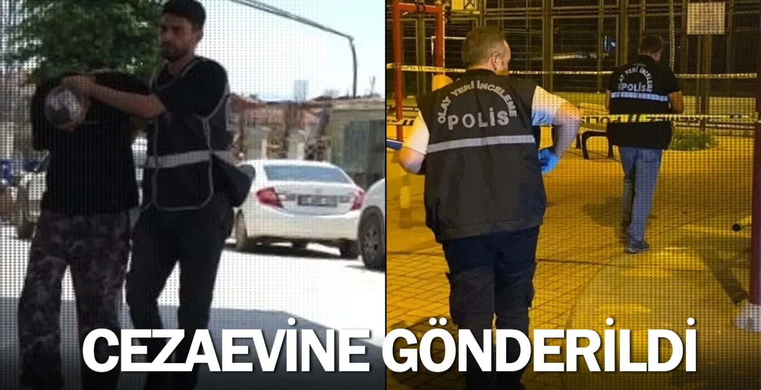 Cezaevine gönderildi